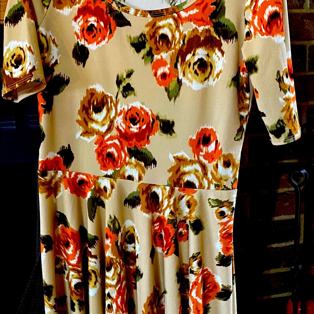 Lularoe Amelia dress